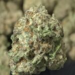 8 Ball Kush THCa Flower Indica