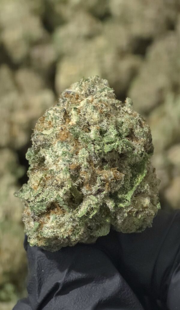 8 Ball Kush THCa Flower Indica