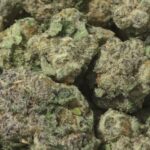 8 Ball Kush THCa Flower Indica