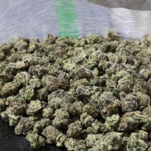 Chem Cookies THCa Flower Indica