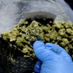 8 Ball Kush THCa Flower Indica