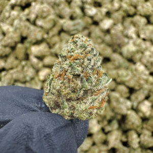 Blizzard Punch THCa Flower Indica