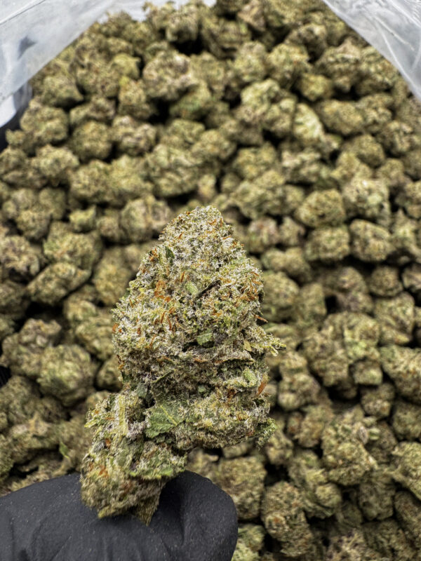 Bruce Banner THCa Flower Sativa