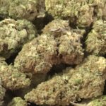 Cherry Cheesecake THCa Flower Indica