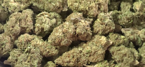 Cherry Cheesecake THCa Flower Indica