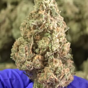 Cherry Cheesecake THCa Flower Indica