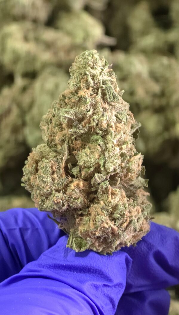 Cherry Cheesecake THCa Flower Indica