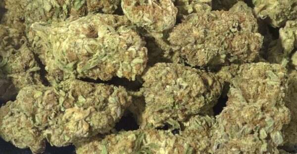 Designer Runtz THCa Flower Indica