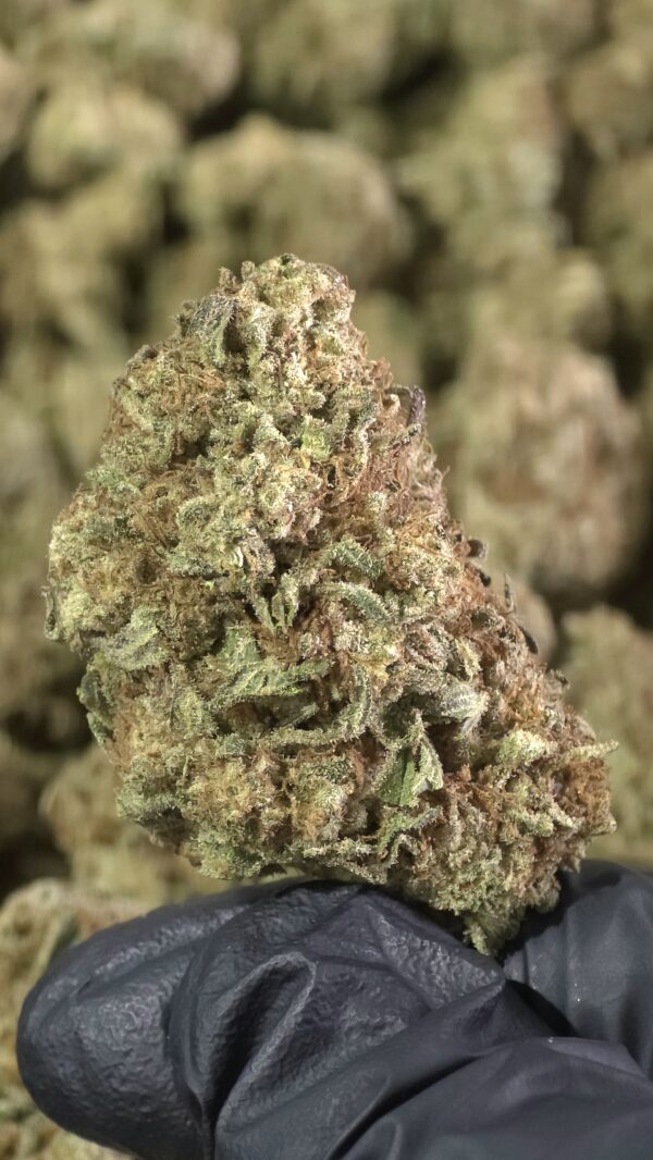 Designer Runtz THCa Flower Indica