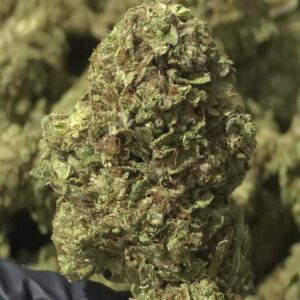 Donut Diesel THCa Flower Sativa