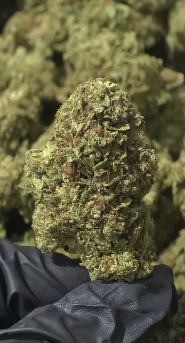 Donut Diesel THCa Flower Sativa Donut Diesel THCa Flower Sativa