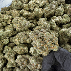 Frosty Club Kush THCa Flower Indica