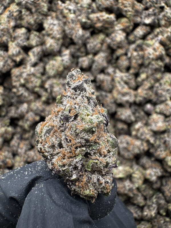 Garlic Butter THCa Flower Indica