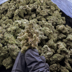 Gas Mask THCa Flower Indica