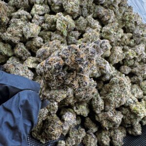 Grape Gasoline THCa Flower Indica