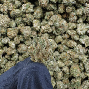 Grape Octane THCa Flower Indica