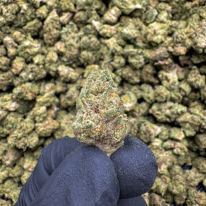 Lava Cake THCa Flower Indica