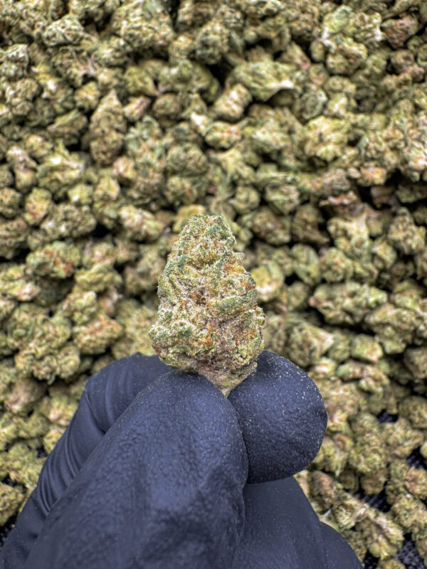 Lava Cake THCa Flower Indica