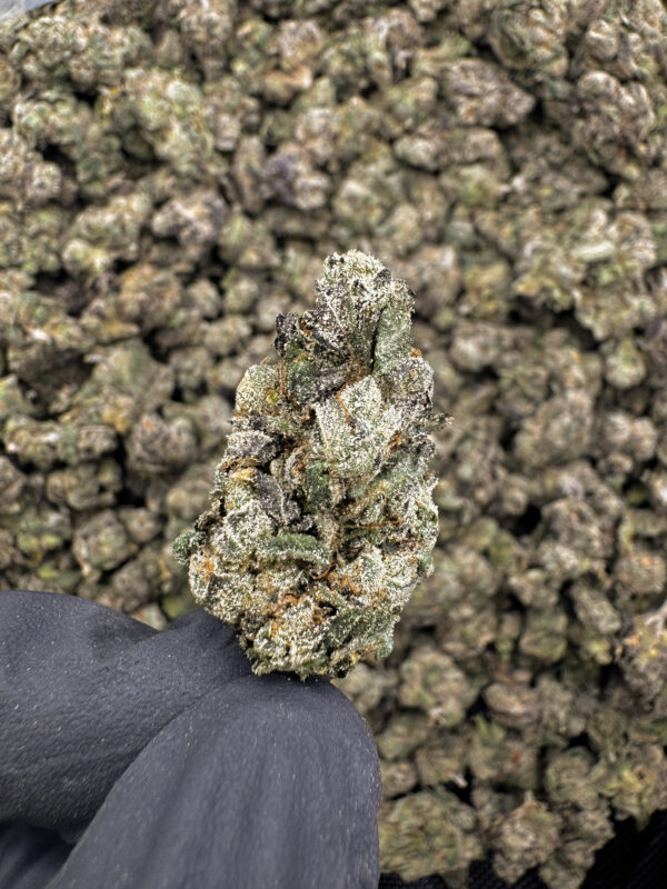 Lucid Punch THCa Flower Sativa