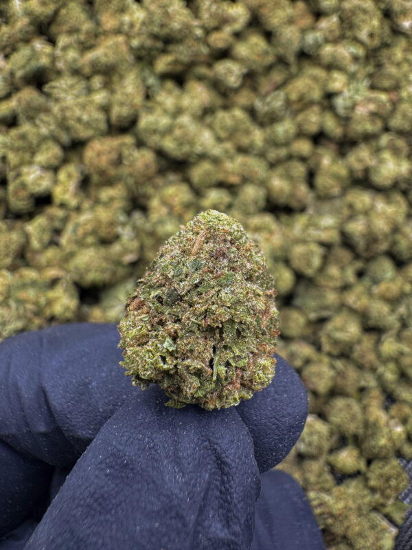 Mr. Clean THCa Flower Sativa