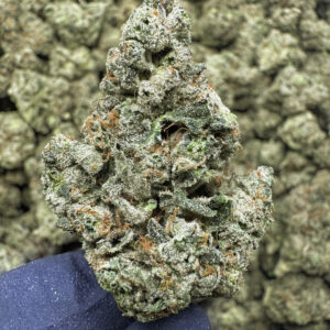 NYC Kush THCa Flower Indica