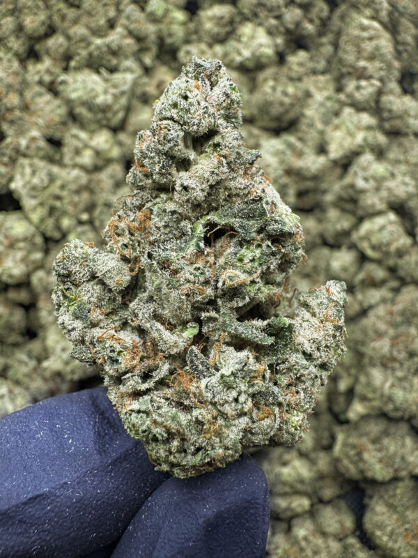 NYC Kush THCa Flower Indica