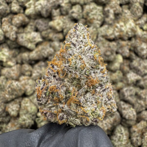 Orange Juice THCa Flower Sativa