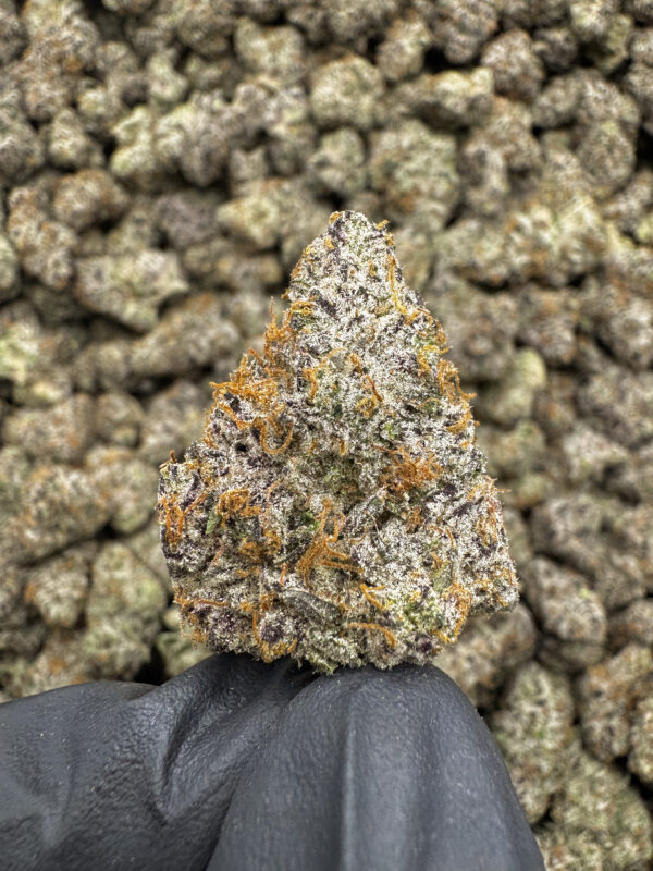 Orange Juice THCa Flower Sativa