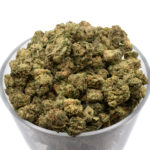 Peyote Cookies THCa Flower Indica