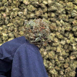 Peyote Cookies THCa Flower Indica