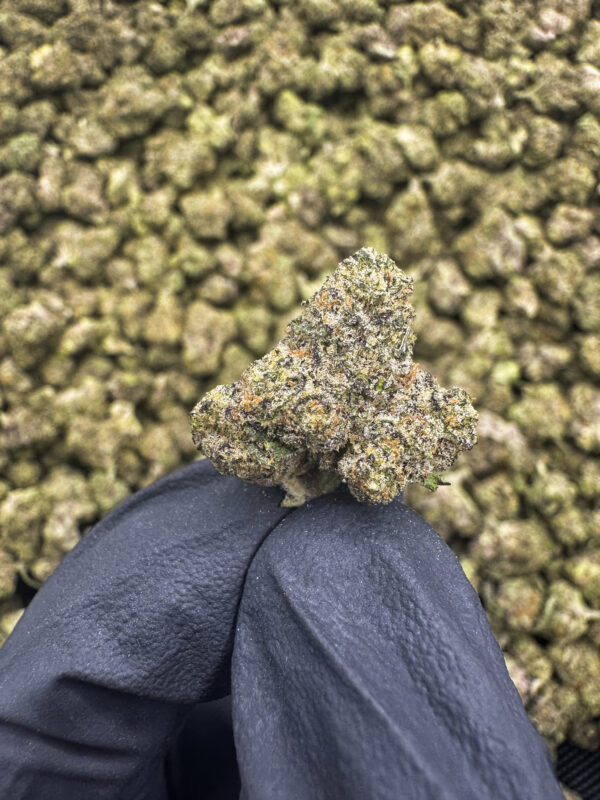 Pink Drink Smalls THCa Flower Hybrid
