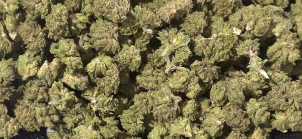 Pink Gumbo Smalls THCa Flower Indica