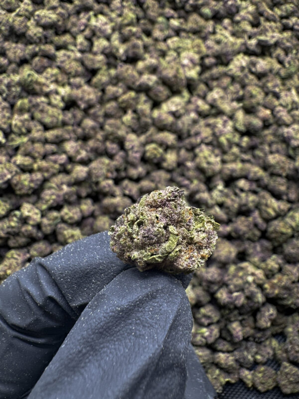 Purple Runtz THCa Flower Hybrid