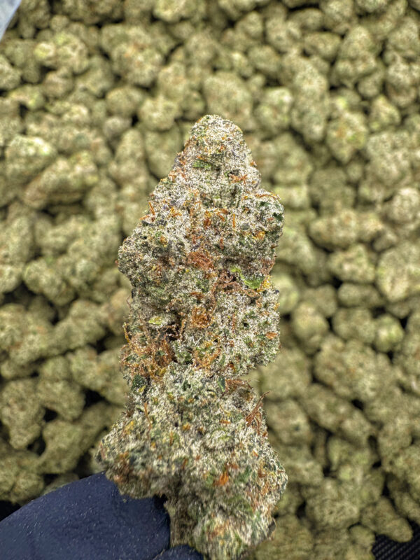 Rolex OG THCa Flower Indica