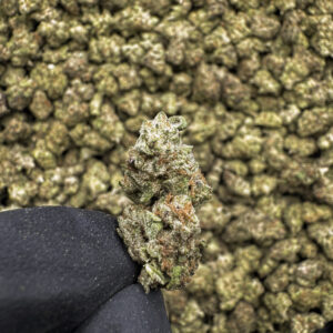 Scented Marker THCa Flower Hybrid