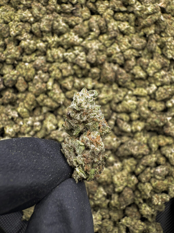 Scented Marker THCa Flower Hybrid