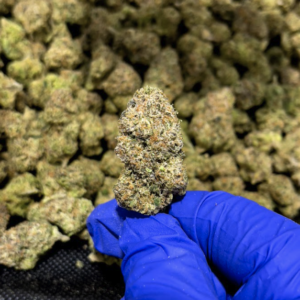 Cookies N Cream THCa Flower Indica