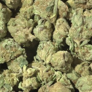 Sundae Driver THCa Flower Hybrid