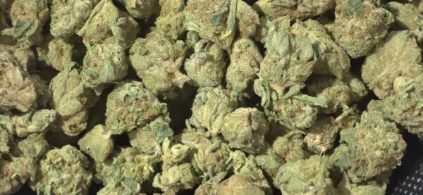 Sundae Driver THCa Flower Hybrid