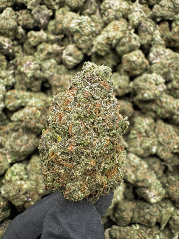 The Funk THCa Flower Indica