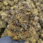 Unicorn - 29.33% THCa - LD - Image 2