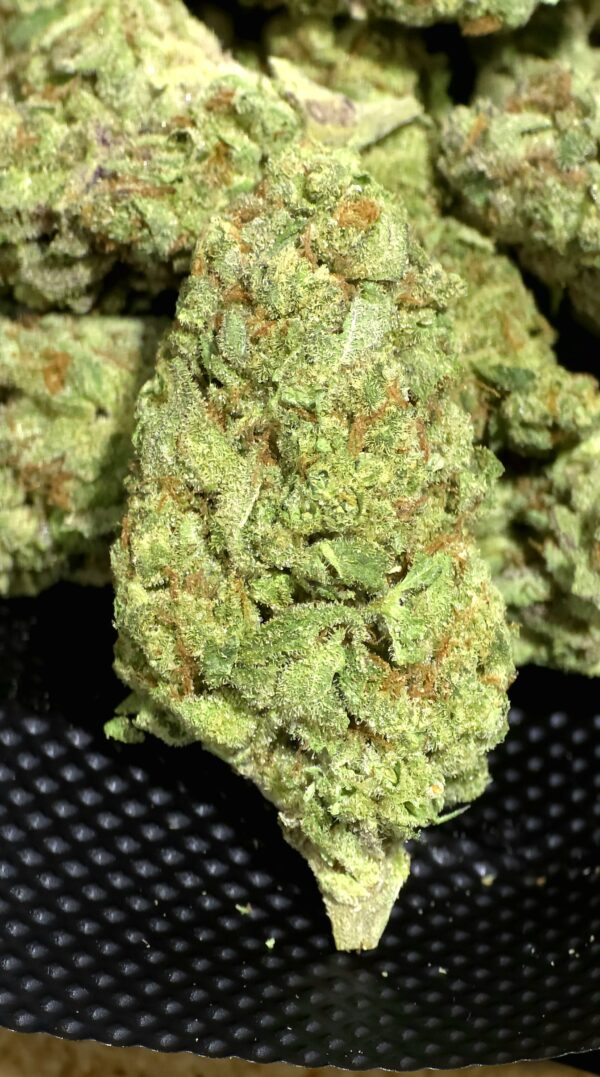 White Rhino THCa Flower Sativa White Rhino THCa Flower Sativa