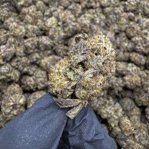 White Rhino THCa Flower Sativa
