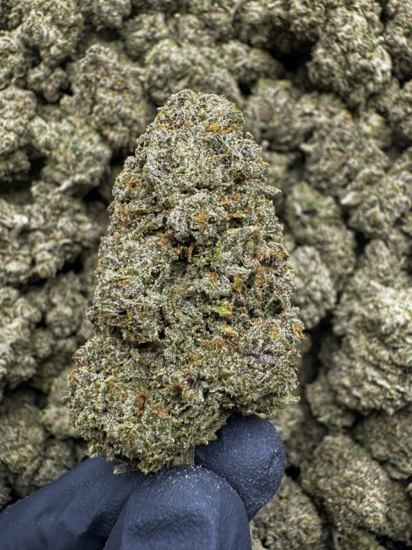 Candy Chrome THCa Flower Hybrid
