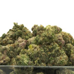 Cherry Zaza THCa Flower Indica