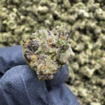 Deathstar (S) - 32.23% THCa - EX - Image 2