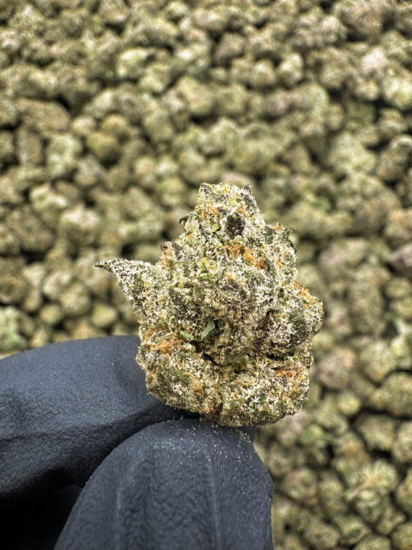 Dirty Girl THCa Flower Sativa