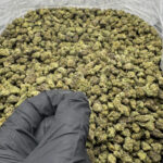 Fruit By The Foot THCa Flower Indica