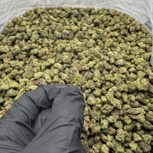 Fruit By The Foot THCa Flower Indica