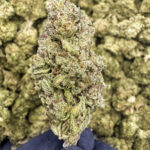 Gas Face - 30.64% THCa - LD - Image 2